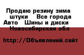 Продаю резину зима 2 штуки  - Все города Авто » Шины и диски   . Новосибирская обл.